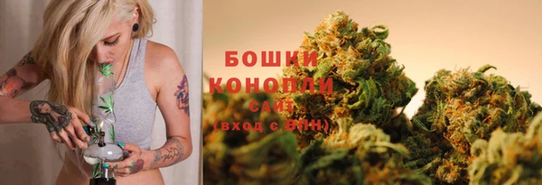 Альфа ПВП Бородино