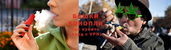 крисы Богородицк