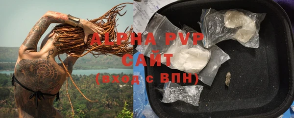 Альфа ПВП Бородино