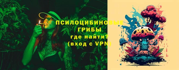 крисы Богородицк
