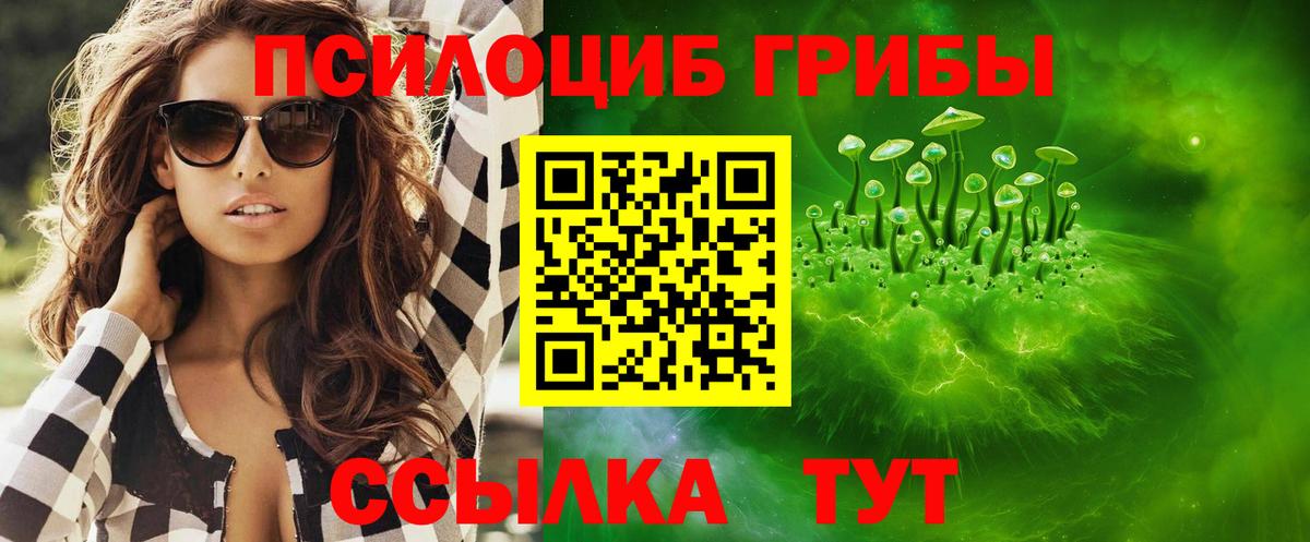 Вятские Поляны  где найти   Галлюциногенные грибы Cubensis  Вход с VPN  Галлюциногенные грибы прущие грибы 